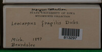 Image Associated With the Occurence
